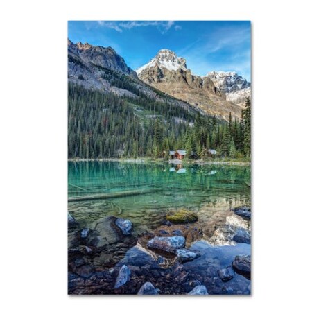 Trademark Fine Art Pierre Leclerc 'Mount Huber Reflection' Canvas Art, 12x19 PL0302-C1219GG